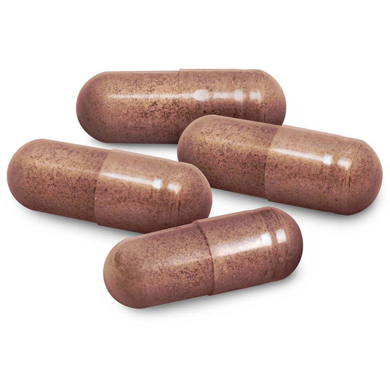Micro Dose Kit Chaga + 200mg Micro Dose Psilocybin